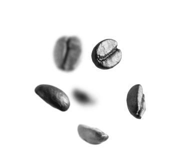 Coffee Bean
