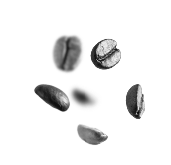 Coffee Bean
