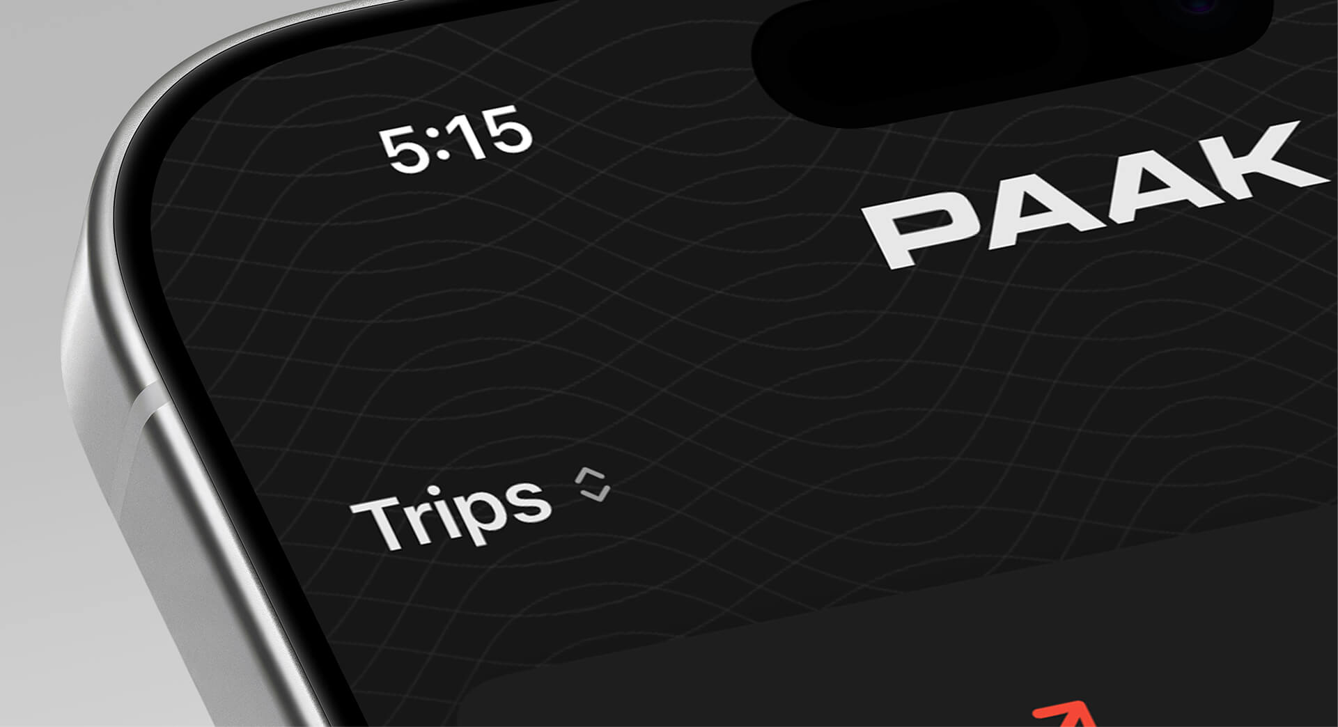 Portfolio image for Paak