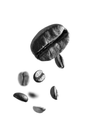 Coffee Bean